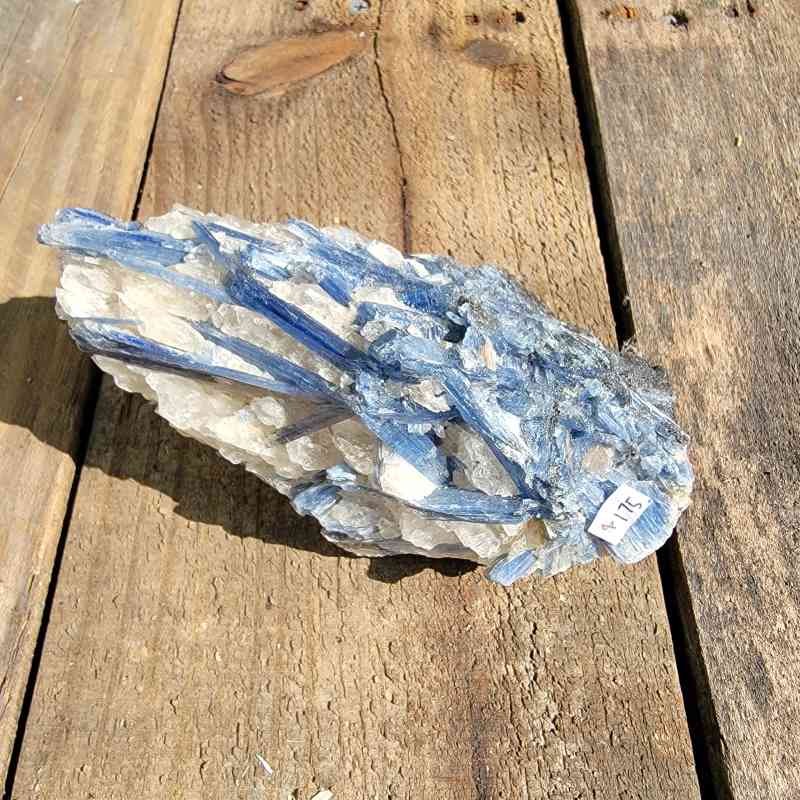 Blue Kyanite Specimen Specimens 2024-07-26