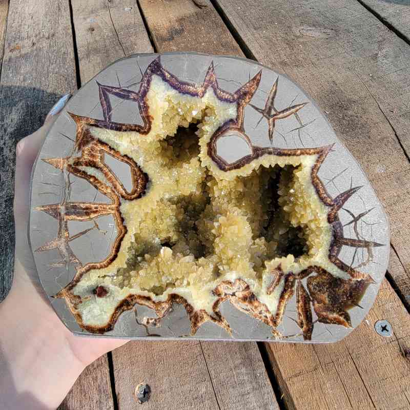 Septarian Free Form Free Forms 2024-07-27