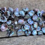Mother of Pearl Bead Strand Beads 2024-07-27